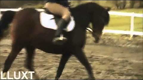 ωєяє яυηηιηg ωιтн συя ∂яєαмѕ(: