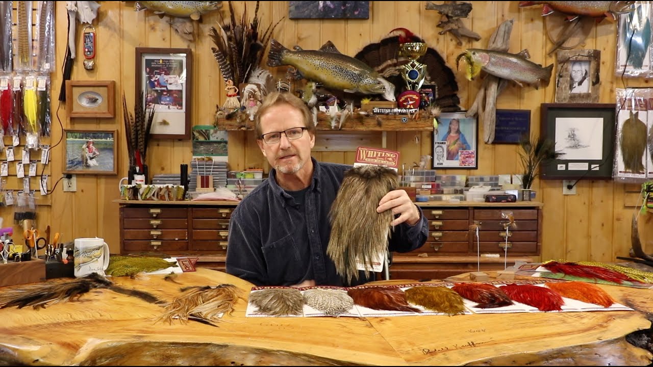 Whiting Farms Episode 7 Coq de Leon YouTube