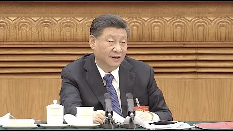 Xi Stresses New Development Philosophy, Ethnic Unity at NPC Session - DayDayNews