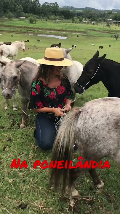COM AS MENINAS ♥️ #shorts #videoshorts #short #ponei #videoshort
