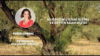 Aile Dizimi/İlişki Dizimi ile ilgili merak edilenler ve Zeytin Ağacı dizisi