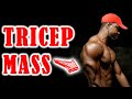 Do This To Build Massive Triceps Without Weights