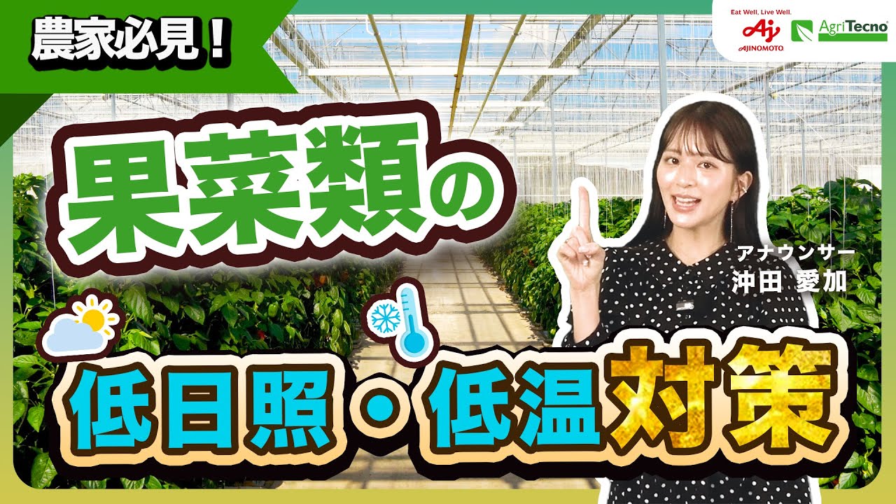 冬の収穫量を左右する！低日照・低温期の攻略方法！【果菜類農家必見】