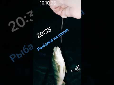 рыбалка на окуня