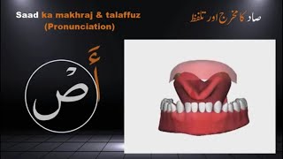 Tajweed Quran | Quran Tajweed | Arabic Alphabet with pronunciation | Tajweed Makhraj 3D | Arabic