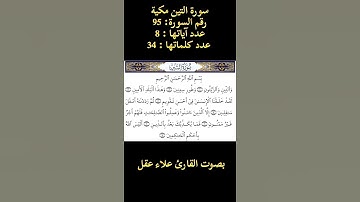 سورة التين بصوت القارئ علاء عقل