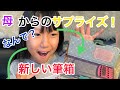 筆箱！ツールペンケース(ピープ)kokuyo、アルロック筆箱せリアナティアラ(プリンセス)ソニック新しくもらった！