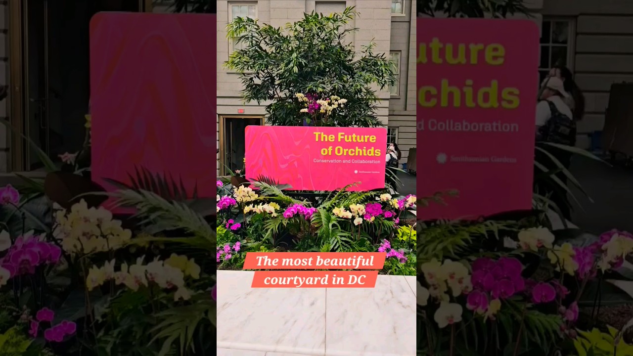 The Future of Orchids: Conservation and Collaboration 