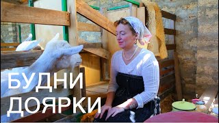 КРАСИВАЯ ДОЙКА КОЗ. ДОМАШНИЕ ДЕЛА. ТОМАТНЫЙ СОК ИЗ СВОИХ ПОМИДОРОВ.