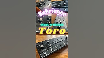 Behringer Toro  - funky sound demo #behringer #synthfunk #analogsynthesizer