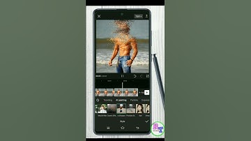 Capcut Particles Disappear Effect || Capcut Video Editing/capcut particles video