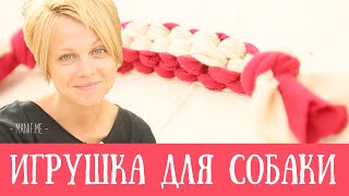 ★ Игрушка ★ для собаки / кошки | своими руками рукавички(, 2015-07-12T18:21:00.000Z)