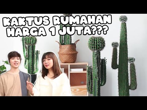 KITA PESTA KEJU DAN MAKANAN MEWAH LAINYA! RAHASIA FOTO INSTAGRAM MENARIK! FEAT. Genki Dari Jepang