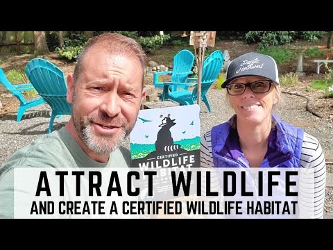 Our Certified Wildlife Habitat & How to Make Your Own QG Day 28 by Spoken Garden