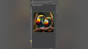 Convert Image to Vector in Adobe Illustrator cc Tutorial | Vectorize Image | Graphic Design