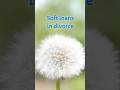 Soft loans in divorce. #loans #ukdivorce #debts