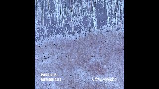 Parricus Memorialis - Snowflakes