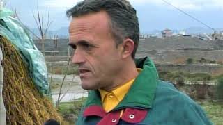 Lopa ne Televizor - Humor Shqip