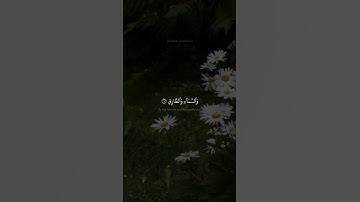 والسماء والطارق | محمد صديق المنشاوي | سورة الطارق