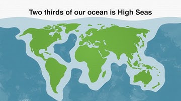 The High Seas Treaty - A Milestone Unlike Any Other