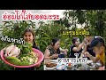 อ่อมไก่ใส่ยอดมะระขมๆ/EP.165/กินอ่อมไก่กับคนเกาหลี /สะใภ้เกาหลี by Korean/