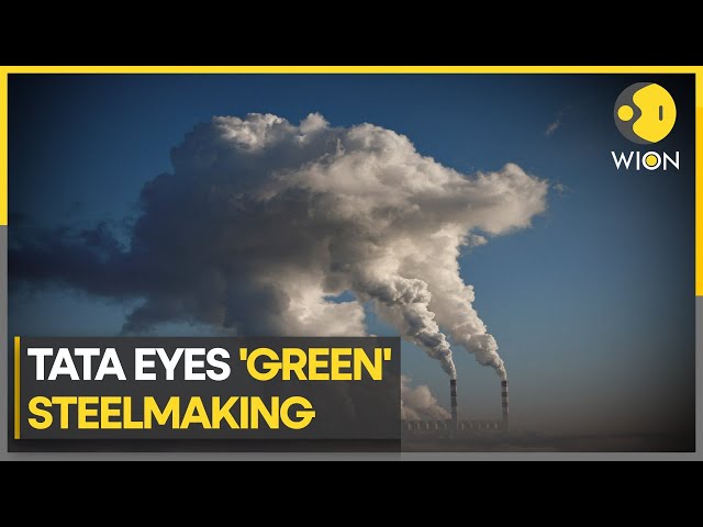 Greenpeace - People vs Polluters: Tata Steel in Netherlands