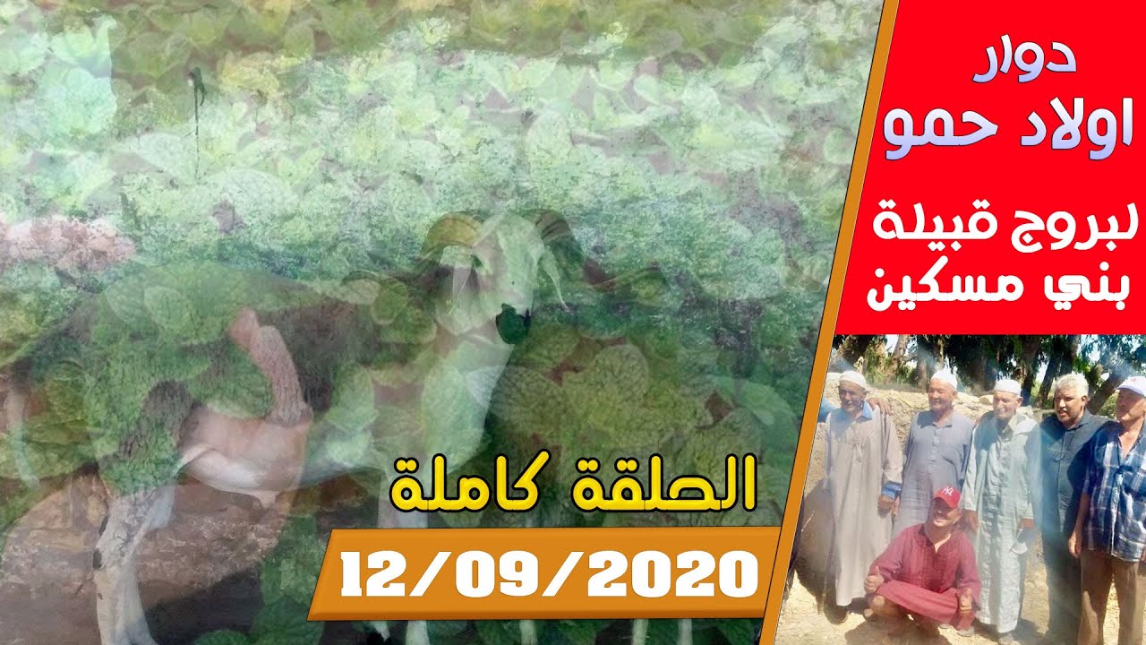 ريحة الدوار “الحلقة كاملة “ 12-09-2020 - دوار اولاد حمو - لبروج قبيلة بني مسكين - Rihat Douar