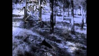 War Forest-La Batalla Del Bosque
