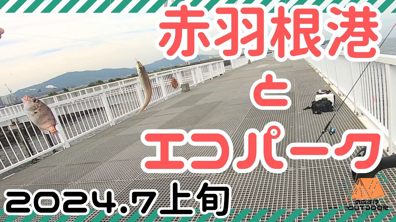 〈7月上旬〉赤羽根・エコパークでちょい投げ釣り！キスとかいろんな種類釣れて楽しいー！愛知県田原市。