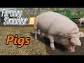 Farming Simulator 19 Tutorial | Pigs