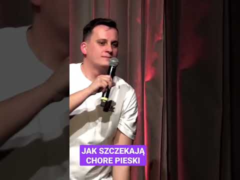 Jak rozpoznać że pies jest chory? #standup #ego