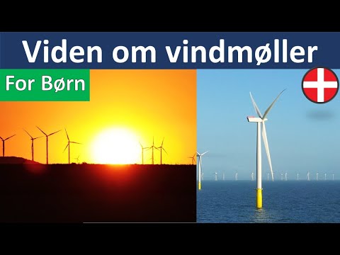 Video: Hvad er der ikke at elske om flagermus?