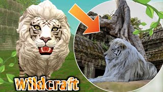 This is in REAL life wildcraft wild jungle Australia Egypt real map Locations 😱