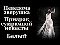 Истории на ночь (3в1): 1.Неведома зверушка, 2.Призрак сумрачной невесты, 3.Белый