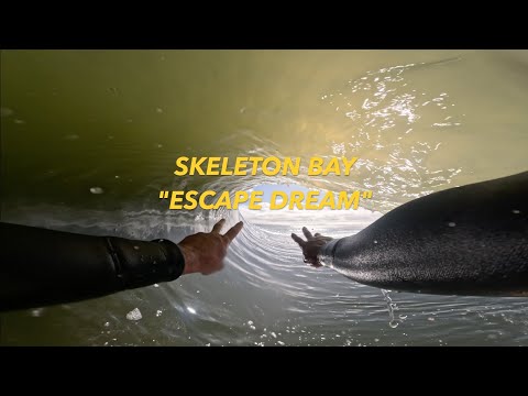 Skeleton Bay Escape Dream