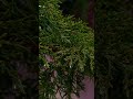 Мы не выбираем погоду, а одеваемся по ней , так и всё остальное принимайте по мере поступления...