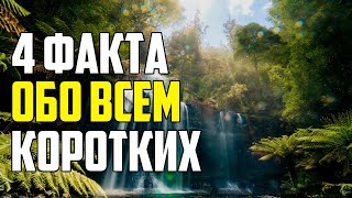 4 Коротких И Любопытных Факта Обо Всем На Свете #Shorts