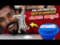 പറക്കുന്ന അണ്ണാനെ വാങ്ങി 🐿️₹20,000🤑 Australian sugar glider