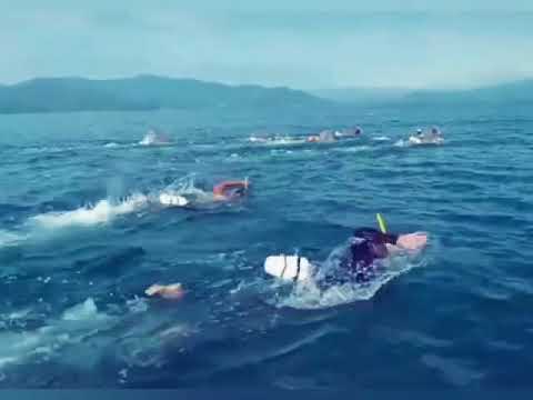 story wa pasukan Denjaka berenang dilaut