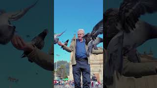 CHARLIE ANGUS - EVEN THE BIRDS DON'T LIKE POILIEVRE