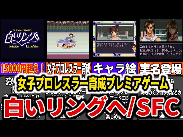 スーパーファミコン 白いリングへ レアソフト プロレス 当てる