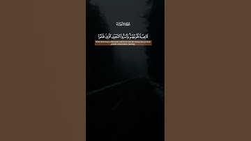 #قران_كريم #راحه_للقلب #المصحف #صوت_جميل_رائع #راحة_نفسية #quranreaction #القرآن  #القارئ_طارق_محمد