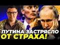 🔥 НАТО НАВАЖИЛОСЬ! Росію розчленують на 5 частин! Японія заступилась за Україну / БЕРЕЗОВЕЦЬ