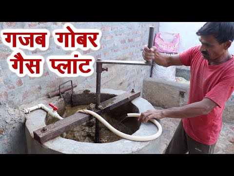 वीडियो: दाल कैसे उगाएं: 12 कदम (चित्रों के साथ)