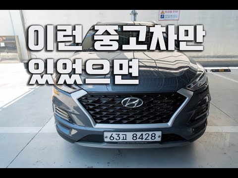 대구에서 만난 현대 <strong>올뉴투싼</strong> 2.0d.
