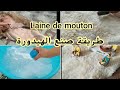 طريقة غسل و تنظيف و صنع هيدورة او فروة خروف العيد Nettoyer La Laine De Mouton 
