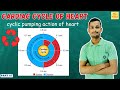 Cardiac cycle in hindi | atrial systole | ventricular systole | complete cardiac diastole |cvs 07