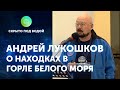 Результаты поисковых работ кораблей Первой мировой войны в Горле Белого моря. Андрей Лукошков