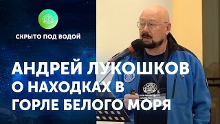 Результаты поисковых работ кораблей Первой мировой войны в Горле Белого моря. Андрей Лукошков