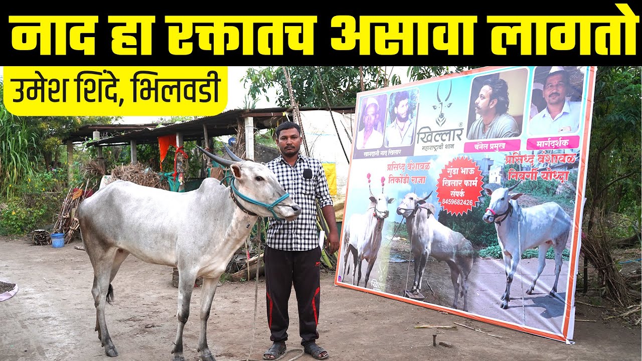 नाद हा रक्तातच असावा लागतो । उमेश शिंदे, भिलवडी | Khillar Maharashtrachi Shaan 2023